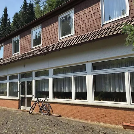 Spacious Near The Forest
